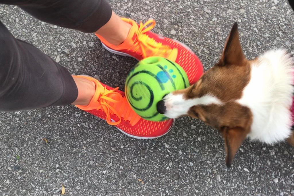 Play Ball - Fitness Inspo from Olive!